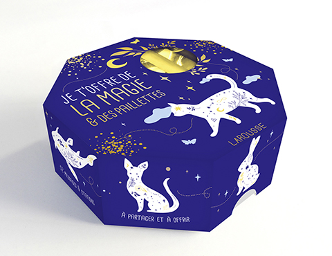 Je t’offre de la magie et des paillettes_Simu 3D OK